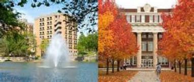 Kellogg Lofts - 1 Bed 