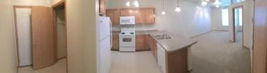 Kellogg Lofts - 1 Bed 